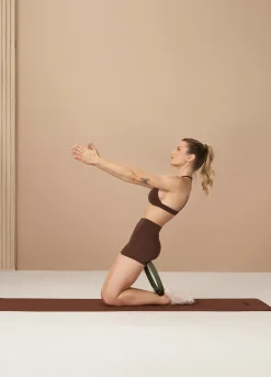 Toning Pilates Ring